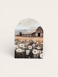 Summer Barn, Wood Arch: Medium
